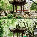 中山广场-中山公园 - 宁波市旅游 缩略图 4