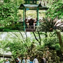 中山广场-中山公园 - 宁波市旅游 缩略图 8