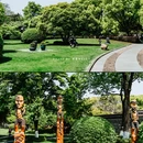 中山广场-中山公园 - 宁波市旅游 缩略图 7