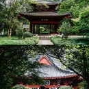 仙都国家级风景名胜区 - 丽水市旅游 缩略图 6
