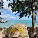 三亚西岛海洋文化旅游区 - 三亚市旅游 缩略图 3