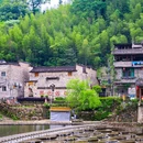景德镇植物园 - 景德镇市旅游 缩略图 9