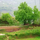 钟家山游步道 - 成都市旅游 缩略图 7