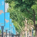 红星路 - 合肥市旅游 缩略图 4