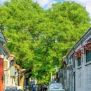 北京五道营胡同 - 北京市旅游 缩略图 1