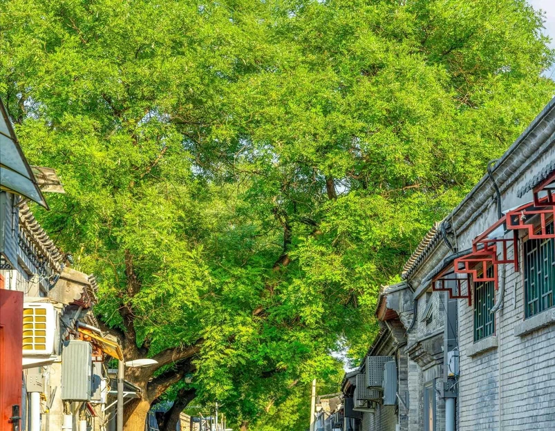北京五道营胡同 - 北京市旅游 1