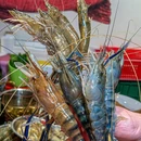 爽食小炒菜馆·三文鱼·烤羊蝎子(鼓楼店) - 北京市旅游 缩略图 4