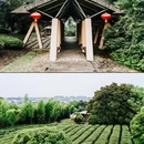 湖州太湖旅游度假区-太湖月亮湾 - 湖州市旅游 缩略图 9