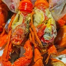 上海杨浦滨江万豪酒店 - 上海市旅游 缩略图 1