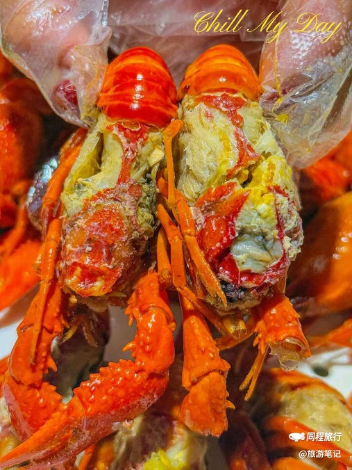 上海杨浦滨江万豪酒店 - 上海市旅游