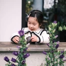 法式花艺·阿莫尔Amour floral - 苏州市旅游 缩略图 6