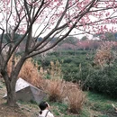 法式花艺·阿莫尔Amour floral - 苏州市旅游 缩略图 7