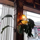 ZENG餐厅剧场店(前门店) - 北京市旅游 缩略图 1
