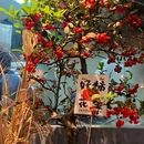 黔驴十二道菜 - 西安市旅游 缩略图 1