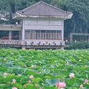 荔湾湖公园 - 广州市旅游 缩略图 2