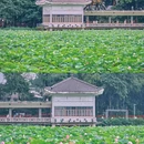 荔湾湖公园 - 广州市旅游 缩略图 3