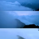 海南尖峰岭国家森林公园 - 乐东黎族自治县旅游 缩略图 4