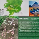 海南尖峰岭国家森林公园 - 乐东黎族自治县旅游 缩略图 2