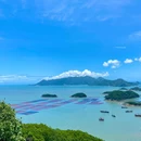 花竹村 - 宁德市旅游 缩略图 4