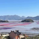 花竹村 - 宁德市旅游 缩略图 8