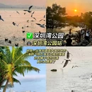 深圳湾公园 - 深圳市旅游 缩略图 3