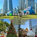 深圳湾公园 - 深圳市旅游 缩略图 8