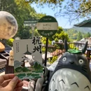 如野·玻璃房子·山野食记(西湖龙井虎跑店) - 杭州市旅游 缩略图 9