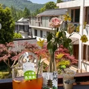 如野·玻璃房子·山野食记(西湖龙井虎跑店) - 杭州市旅游 缩略图 8