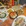 深圳市·潮荣海鲜大饭店·宴请(上合店)