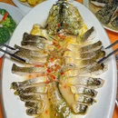 潮荣海鲜大饭店·宴请(上合店) - 深圳市旅游 缩略图 2
