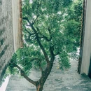 十香园纪念馆 - 广州市旅游 缩略图 4
