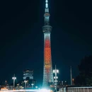 东京 - 日本旅游 缩略图 3