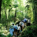 蜀山·云溪谷 - 成都市旅游 缩略图 4