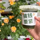 煮匠咖喱小馆(爱琴海店) - 成都市旅游 缩略图 7