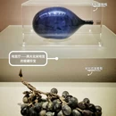 定州博物馆 - 保定市旅游 缩略图 8