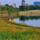 长行青年林 - 长沙市旅游 缩略图 2