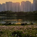 长行青年林 - 长沙市旅游 缩略图 6
