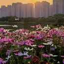 长行青年林 - 长沙市旅游 缩略图 8