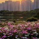 长行青年林 - 长沙市旅游 缩略图 7