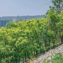 竹溪河陡坡湿地公园 - 重庆市旅游 缩略图 5