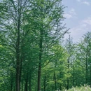 竹溪河陡坡湿地公园 - 重庆市旅游 缩略图 4