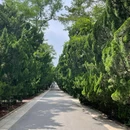 八大关景区 - 青岛市旅游 缩略图 3