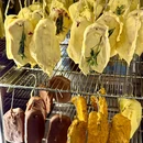 叁花烤肉(江西路店) - 青岛市旅游 缩略图 2