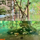 北京华宇时尚购物中心 - 北京市旅游 缩略图 3