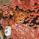 德崎家回转寿司(立丰城店) - 西安市旅游 缩略图 3