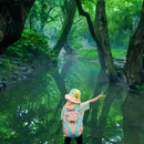 九溪十八涧 - 杭州市旅游 缩略图 2