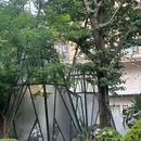 伊藤洋华堂(建设路店) - 成都市旅游 缩略图 4