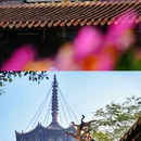 泉州开元寺 - 泉州市旅游 缩略图 2