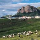 甘南秘境旅拍摄影(夏河旗舰店) - 甘南藏族自治州旅游 缩略图 8