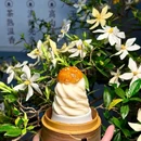 银石广场购物中心 - 成都市旅游 缩略图 4